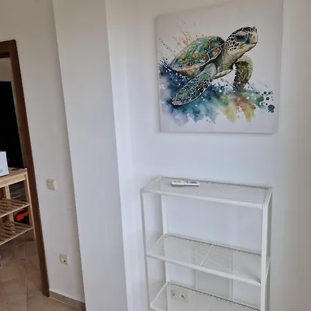 Sunbreeze Living بايالا